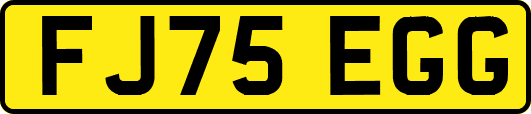 FJ75EGG