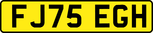 FJ75EGH