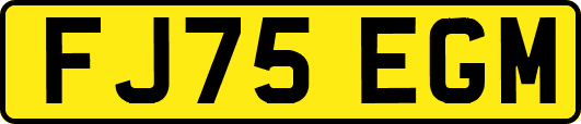 FJ75EGM