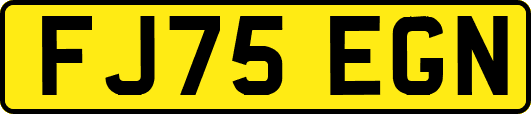 FJ75EGN