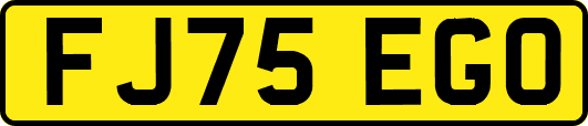 FJ75EGO