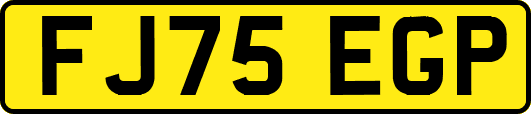 FJ75EGP