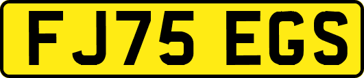 FJ75EGS