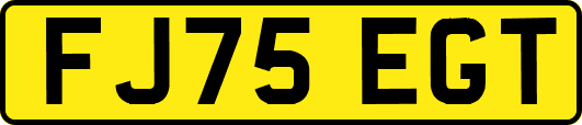 FJ75EGT