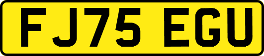 FJ75EGU