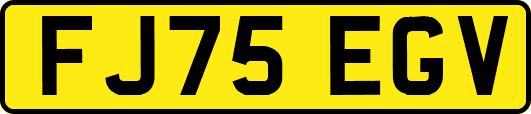 FJ75EGV