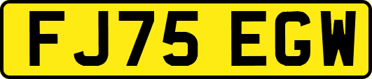 FJ75EGW