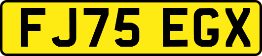 FJ75EGX