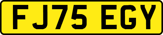 FJ75EGY