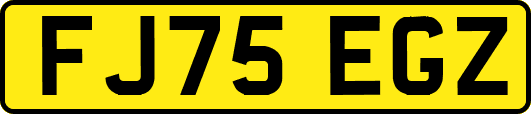 FJ75EGZ