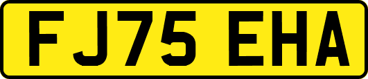 FJ75EHA