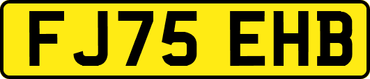 FJ75EHB