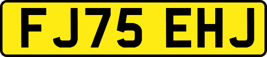 FJ75EHJ