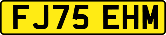 FJ75EHM