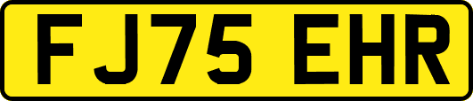 FJ75EHR