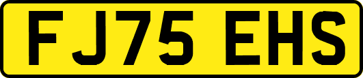 FJ75EHS
