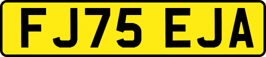 FJ75EJA