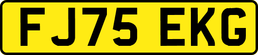 FJ75EKG