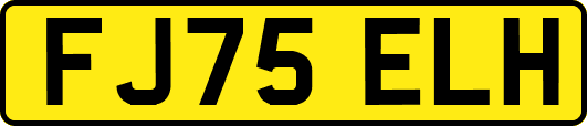 FJ75ELH