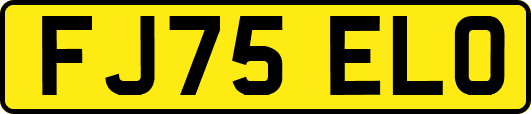 FJ75ELO