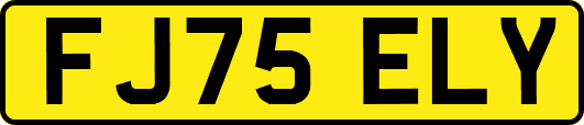 FJ75ELY