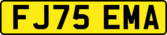 FJ75EMA