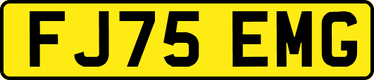 FJ75EMG