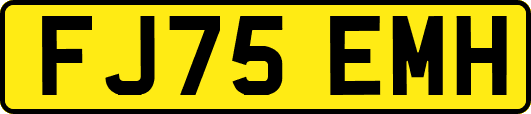 FJ75EMH