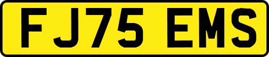 FJ75EMS