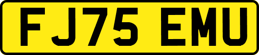 FJ75EMU