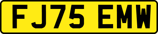FJ75EMW