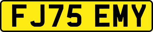 FJ75EMY