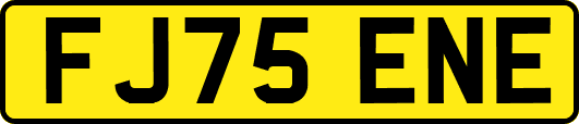 FJ75ENE
