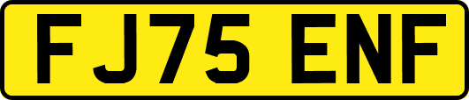 FJ75ENF