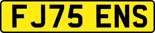 FJ75ENS
