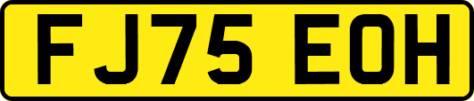 FJ75EOH