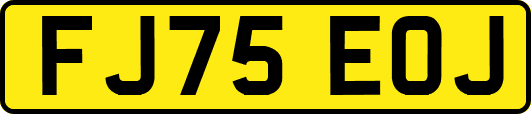 FJ75EOJ