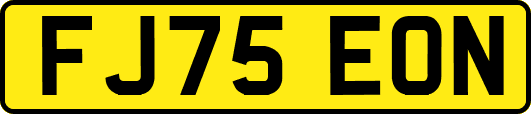 FJ75EON