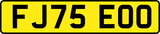 FJ75EOO