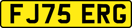 FJ75ERG