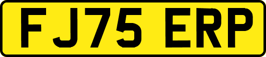 FJ75ERP