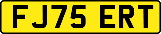 FJ75ERT