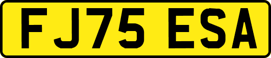 FJ75ESA