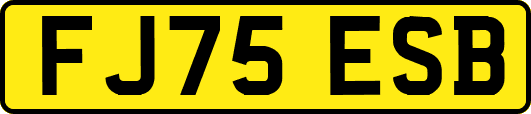 FJ75ESB