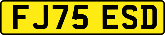 FJ75ESD