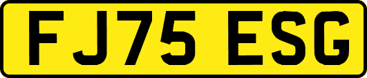 FJ75ESG