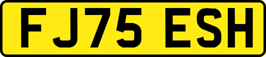 FJ75ESH