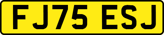 FJ75ESJ
