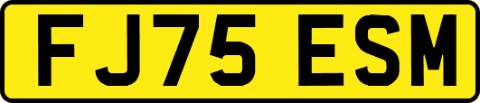 FJ75ESM