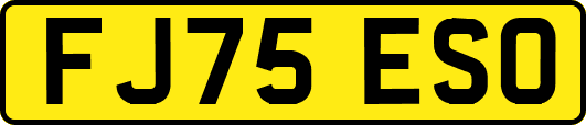 FJ75ESO